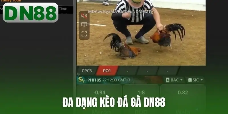 Đa dạng kèo đá gà DN88
